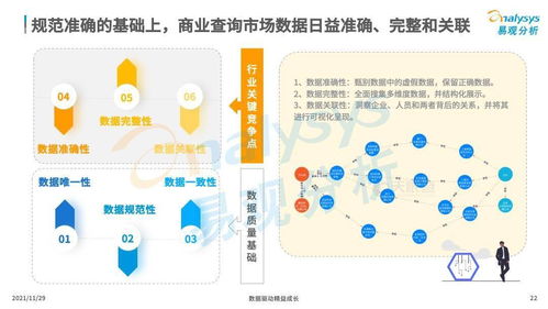 中國商業查詢市場 賦能企業決策，鑄就商業信任新時代
